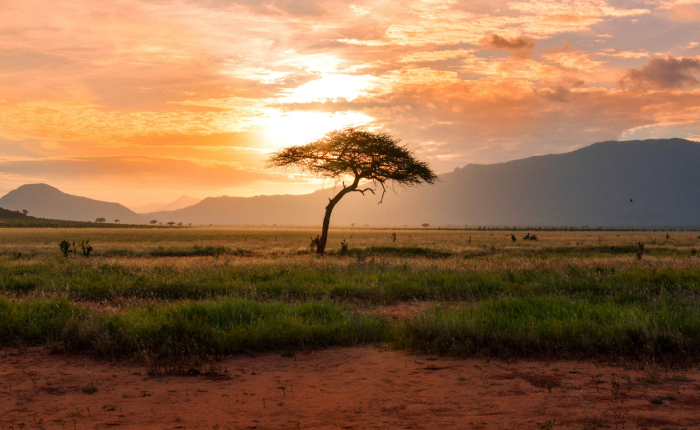 Africa continent outline